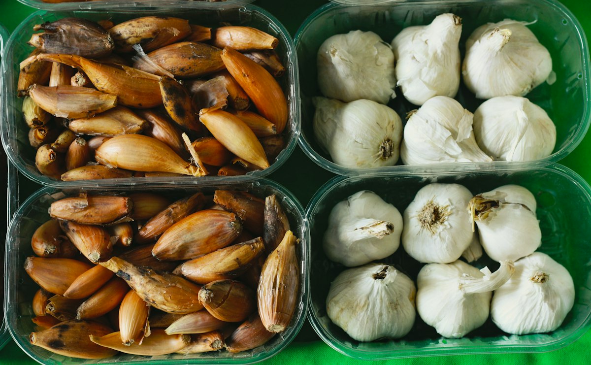 Frasco de ajo en miel en diferentes etapas de preparación